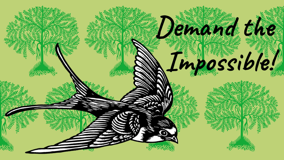 Extinction Rebellion – Durham NC